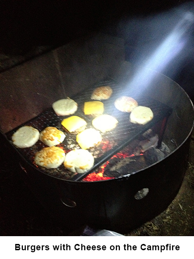 Burgers on the campfire1 image