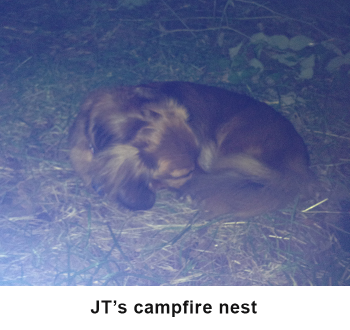 JTs nest image