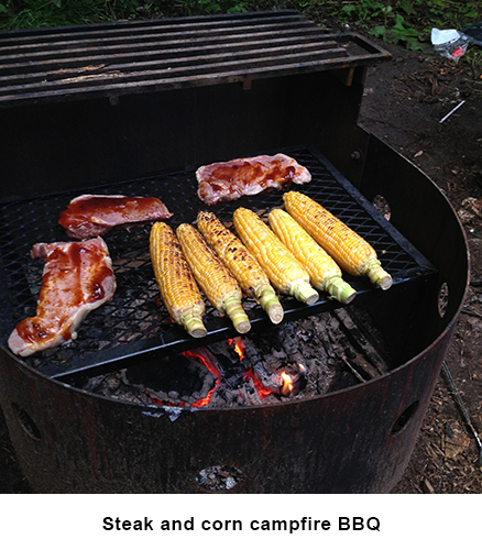 Steak and corn image
