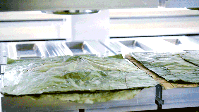leaf-pressing-process