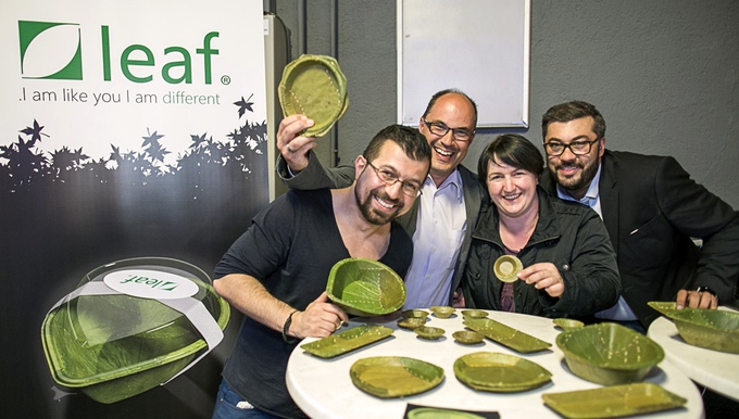 Leaf plates team holding leaf containers bowls and plates dispenser amenities