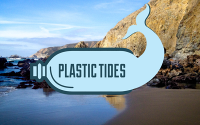 plastic tides logo in front of rocky shoreline dispenser amenities