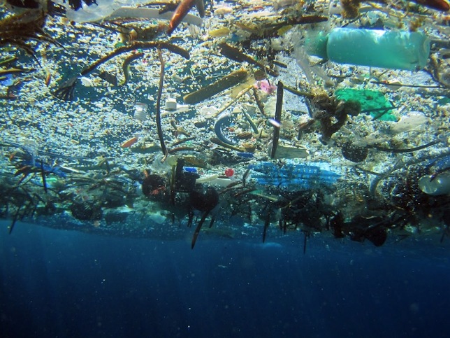 Plastic pollution image