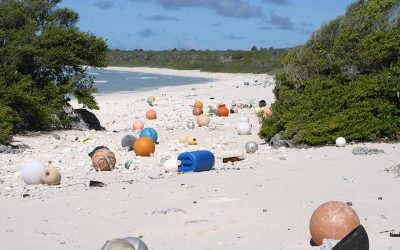 balls bottles and other plastic objects washed up on a beach dispenser amenities