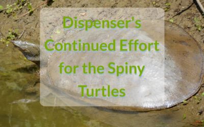 spiny turtles dispenser amenities blog header dispenser's continues effort for the spiny turtles dispenser amenities