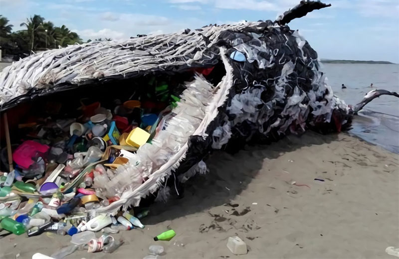 art of saving whales artist showcase feature image