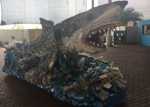 The Art of Saving Whales | | Dispenser Amenities Moat Museum Shark Exhibit