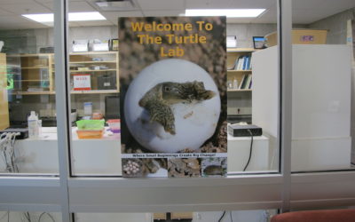 poster with turtle emerging from egg welcome to the turtle lab on glass window dispenser amenities