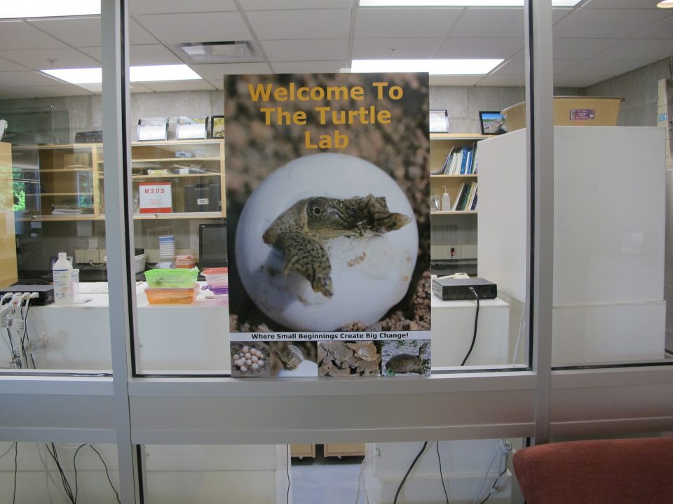 Poster with turtle emerging from egg welcome to the turtle lab on glass window dispenser amenities