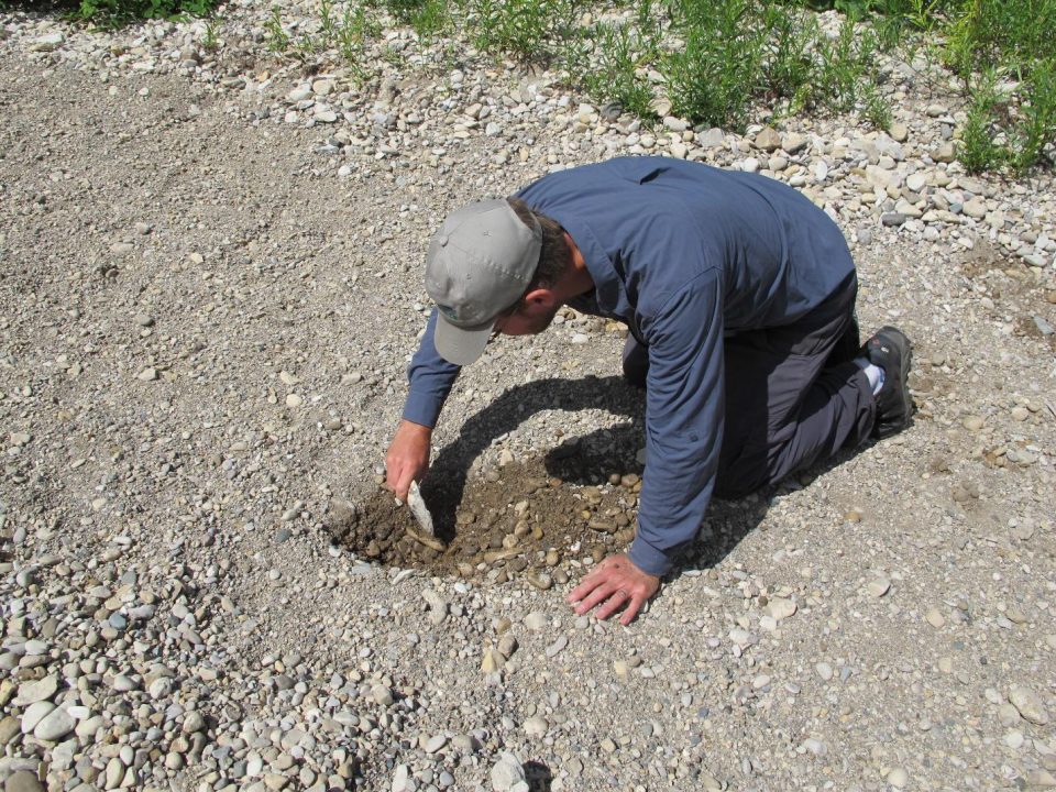 Scott gillingwater digging image