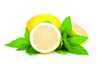 Three ripe lemons and mint. Isolated on white background