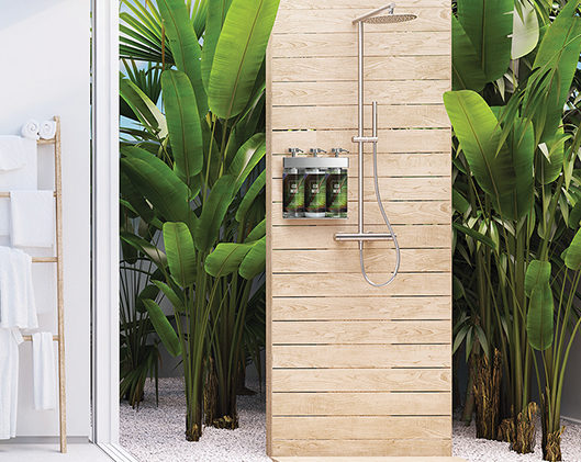 3D rendering. new modern zen bathroom with tropic plants