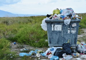 Dispenser Amenities Plastic Waste Overflowing In Waste Bin Refillable Soap Dispensers Environment Benefits Blog refillable soap dispenser image